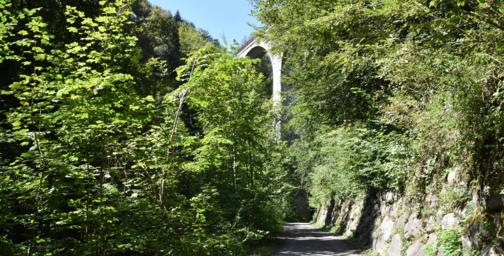 Forest path under a stone arched bridge in the countryside